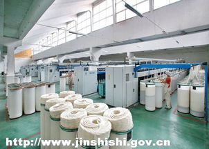 宏力紡織 產業集群驅動，鑄就百億紡織工程新篇章